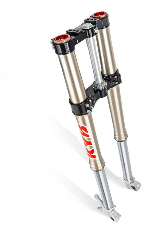 Betamotor RR 350 4T Enduro Race (2025) (4)