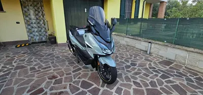 Honda Forza 350 Deluxe (2022 - 24) usata