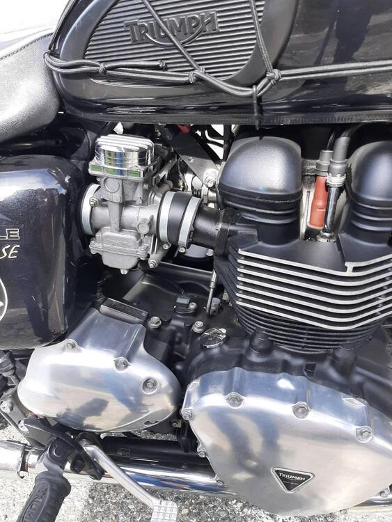 Triumph Bonneville SE (2009 - 13) (5)