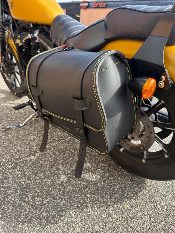 Harley-Davidson 883 Iron (2017 - 20) - XL 883N (3)