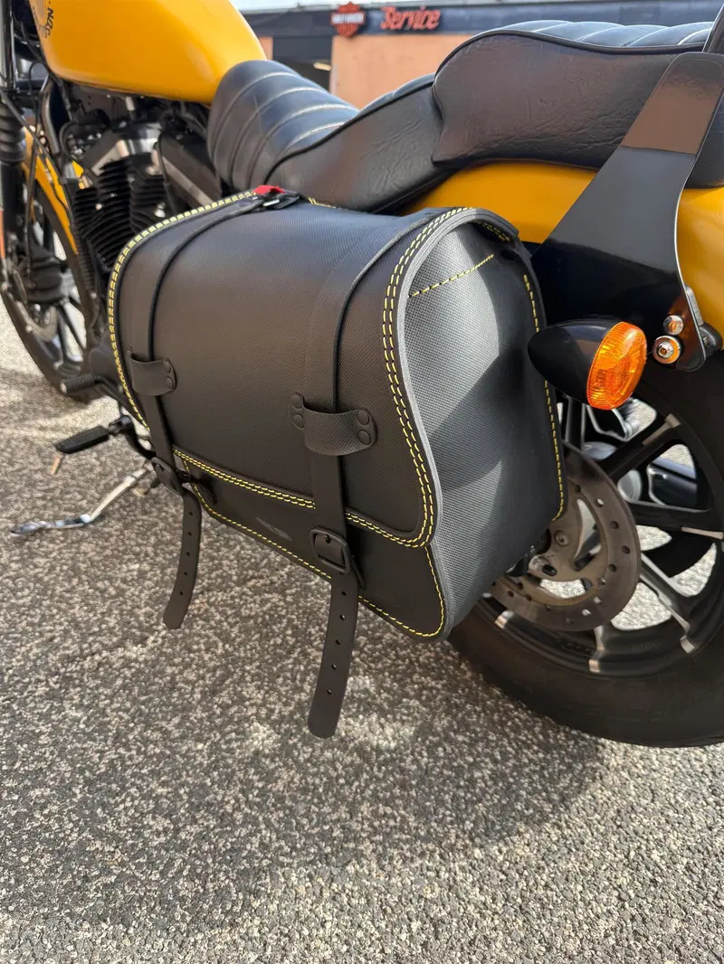 Harley-Davidson 883 Iron (2017 - 20) - XL 883N (3)