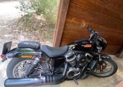 Harley-Davidson Softail Standard (2021 - 25) usata