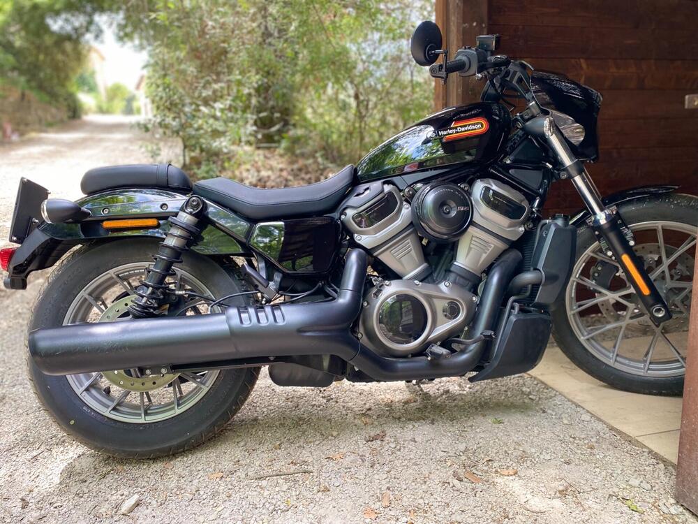 Harley-Davidson Softail Standard (2021 - 25) (2)