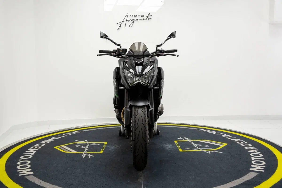 Kawasaki Z 800 Performance (2013 - 13) (9)