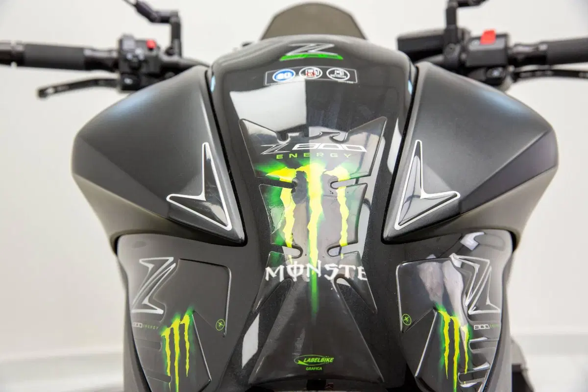 Kawasaki Z 800 Performance (2013 - 13) (14)