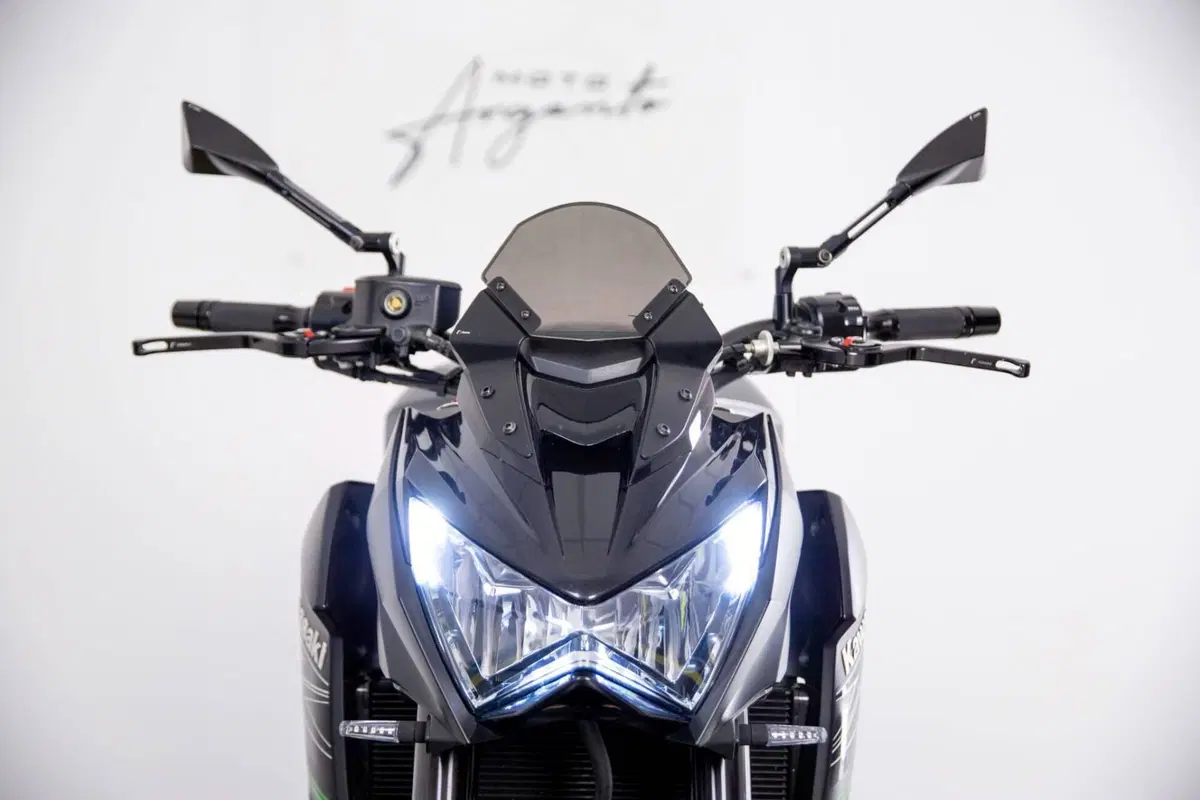 Kawasaki Z 800 Performance (2013 - 13) (17)