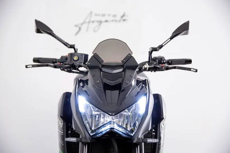 Kawasaki Z 800 Performance (2013 - 13) (17)