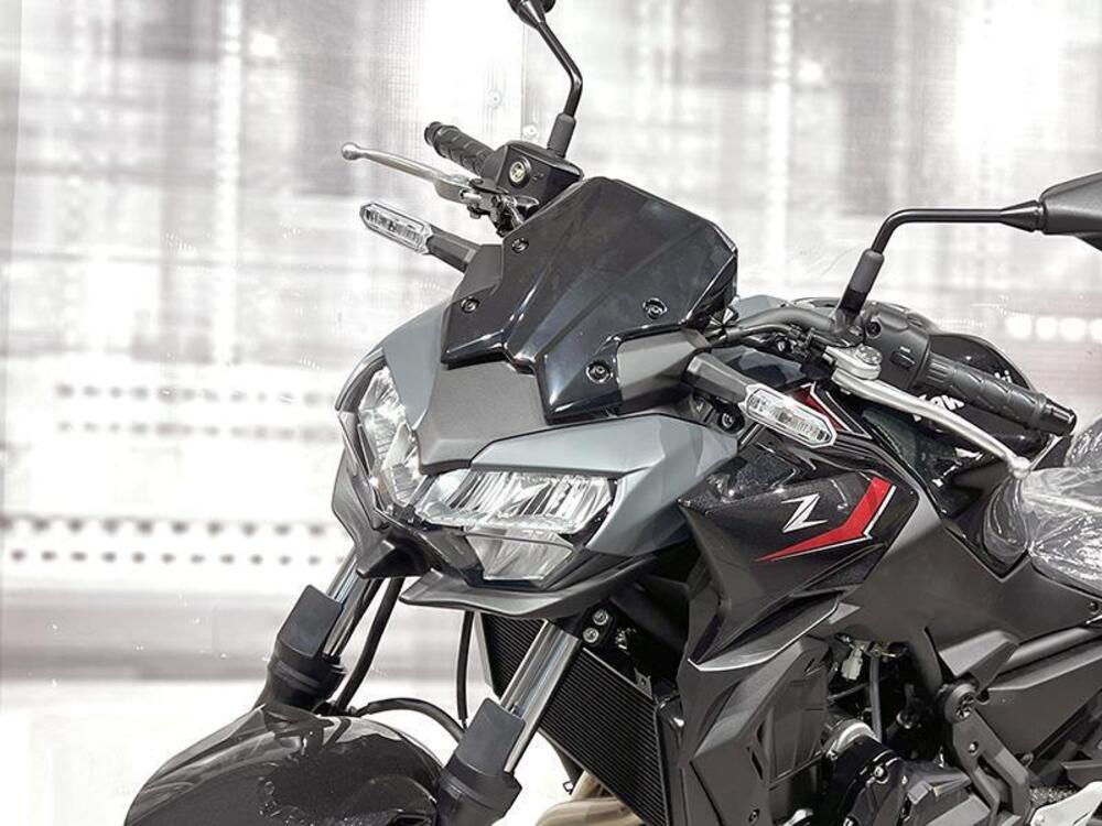 Kawasaki Z 650 (2025 - 26) (5)