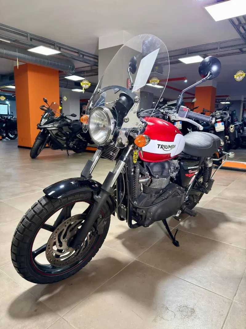 Triumph Bonneville T100 SE (2014) (3)