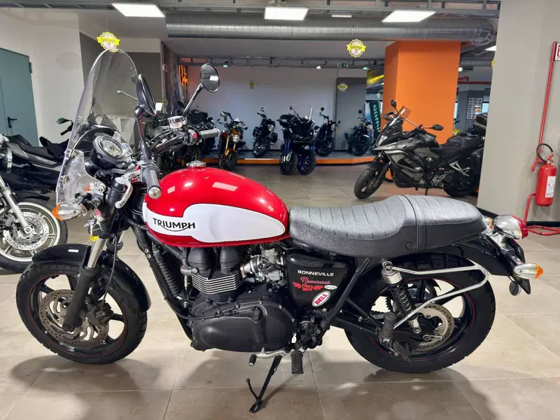 Triumph Bonneville T100 SE (2014) (4)