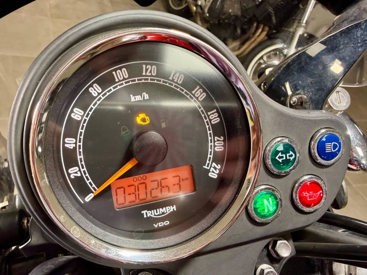 Triumph Bonneville T100 SE (2014) (5)