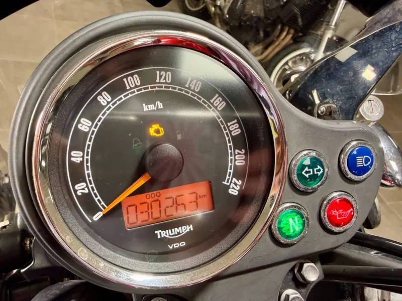 Triumph Bonneville T100 SE (2014) (5)