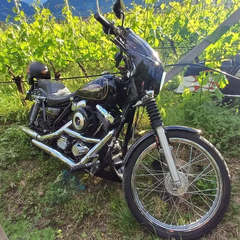 Harley-Davidson 1340 Low Rider (1989 - 99) - FXR