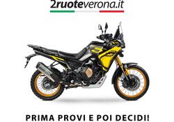 Voge Valico 800DSX Rally (2025) nuova