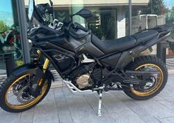 Voge Valico 900DSX (2024 - 25) nuova