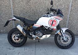 Ducati DesertX (2022 - 25) usata