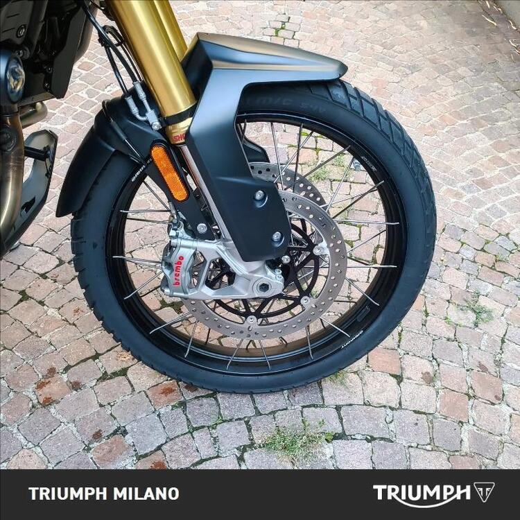 Triumph Tiger 1200 Rally Explorer (2022 - 23) (4)