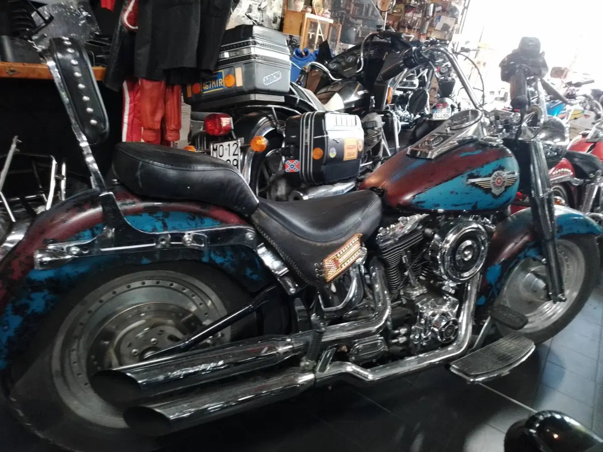 Harley-Davidson 1450 Fat Boy (1999 - 02) - FLSTF (3)