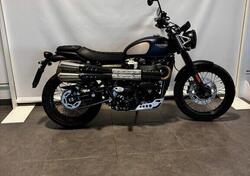 Triumph Street Scrambler 900 Gold Line Edition (2021 - 23) usata