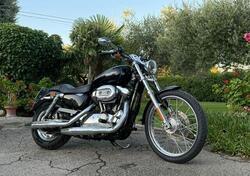 Harley-Davidson 1200 Custom (2004 - 06) - XL 1200C usata