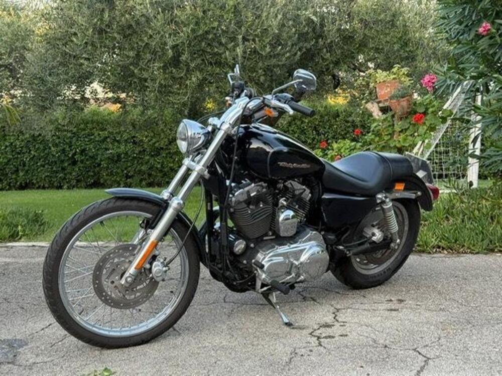 Harley-Davidson 1200 Custom (2004 - 06) - XL 1200C (4)