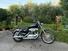 Harley-Davidson 1200 Custom (2004 - 06) - XL 1200C (12)