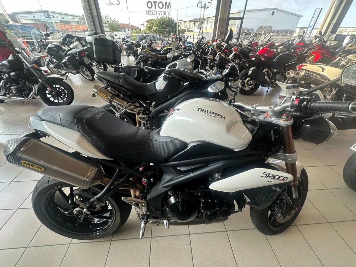 Triumph Speed Triple 1050 (2011 - 13) (3)
