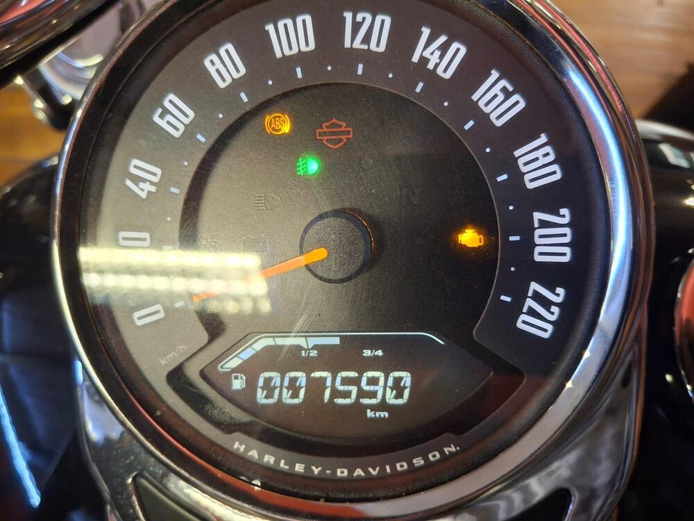 Harley-Davidson Heritage Classic (2021 - 24) (3)