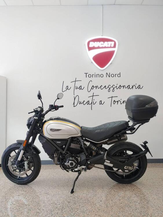 Ducati Scrambler 1100 Pro (2020 - 22) (4)