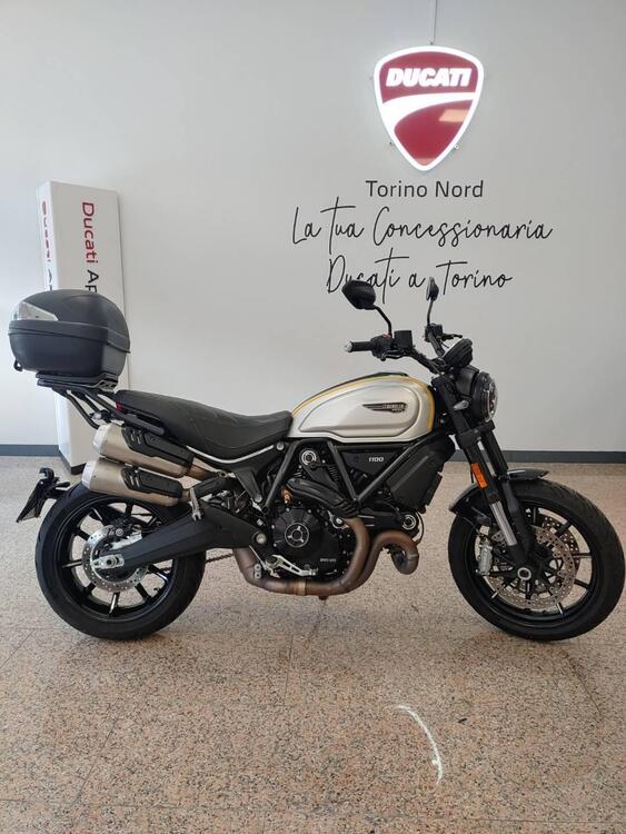 Ducati Scrambler 1100 Pro (2020 - 22)
