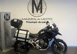 Triumph Tiger 1200 GT Pro (2024 - 25) usata