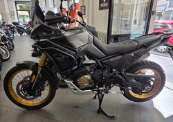 Voge Valico 800DSX Rally (2025) nuova