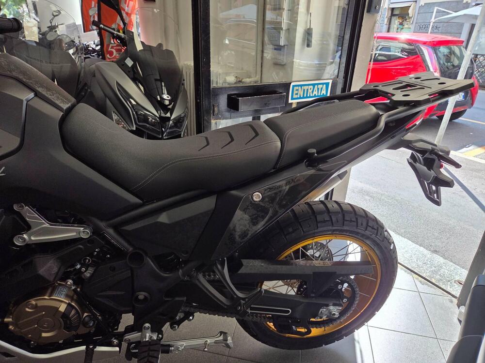 Voge Valico 800DSX Rally (2025) (3)