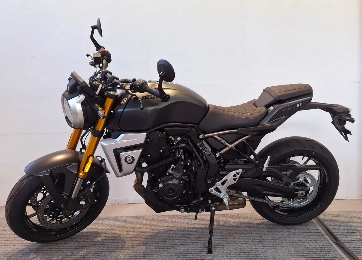 Suzuki GSX-8T (2025 - 26) (2)