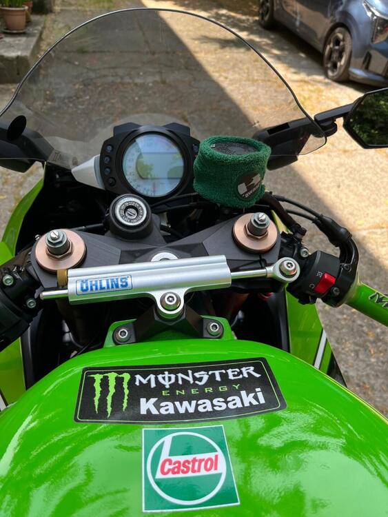 Kawasaki Ninja 1000 ZX-10R (2008 - 09) (2)