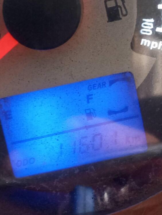 Mash Italia Two Fifty 250 (2017 - 20) (4)