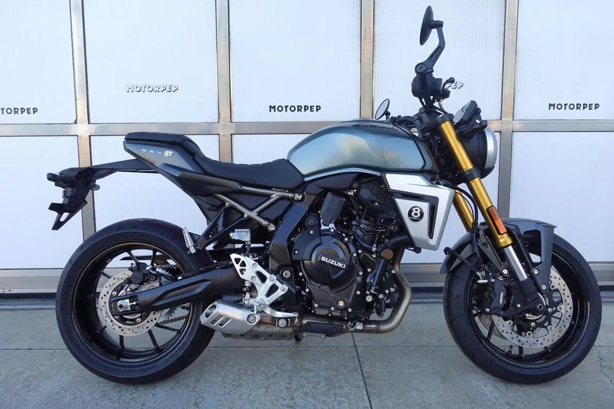 Suzuki GSX-8T (2025 - 26) (2)