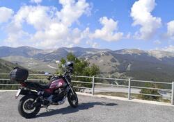 Moto Guzzi V85 TT Travel (2020) usata