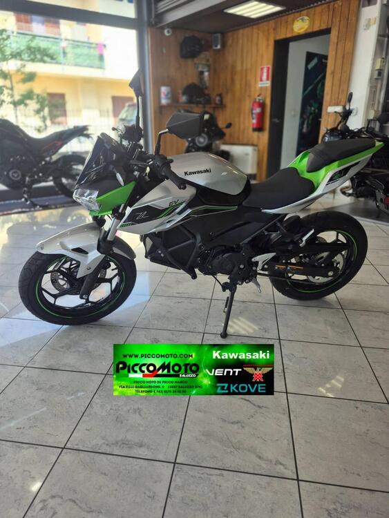 Kawasaki Z e-1 (2024 - 25) (4)