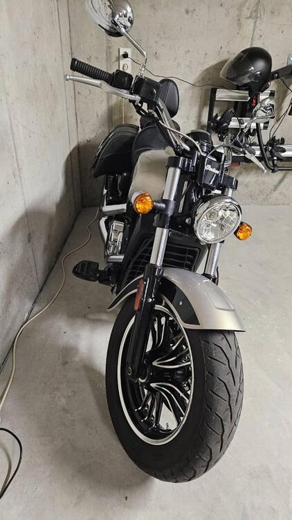 Indian Scout 1133 (2021 - 25) (3)