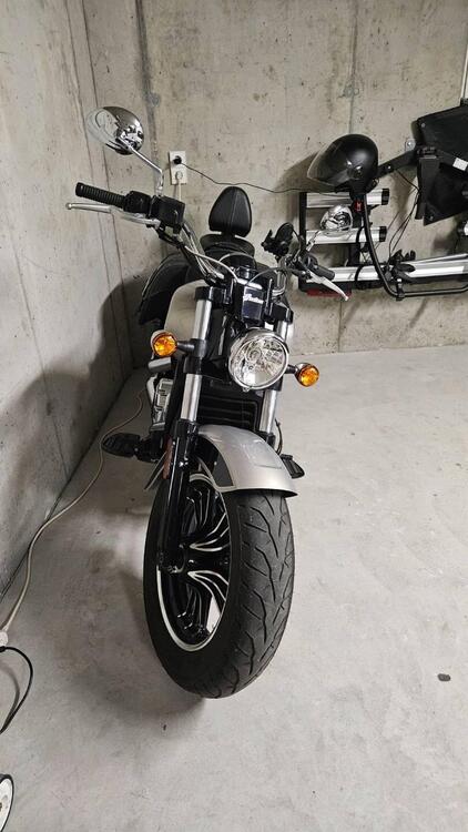 Indian Scout 1133 (2021 - 25) (4)