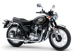 Kawasaki W 800 (2021 - 25) nuova