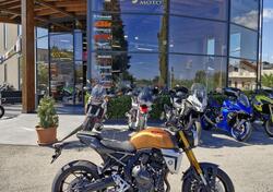 Suzuki GSX-8T (2025) nuova