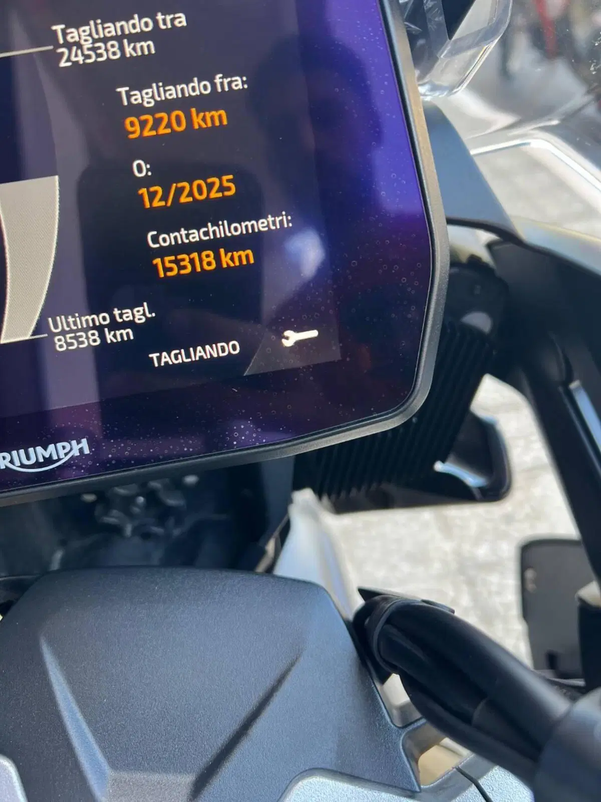 Triumph Tiger 1200 Rally Pro (2022 - 23) (6)