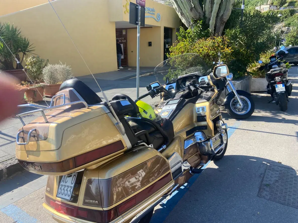 Honda GL 1500 SE Gold Wing (1991 - 02) (6)