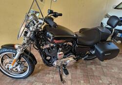 Harley-Davidson 1200 SuperLow (2014 - 16) - XL 1200T usata