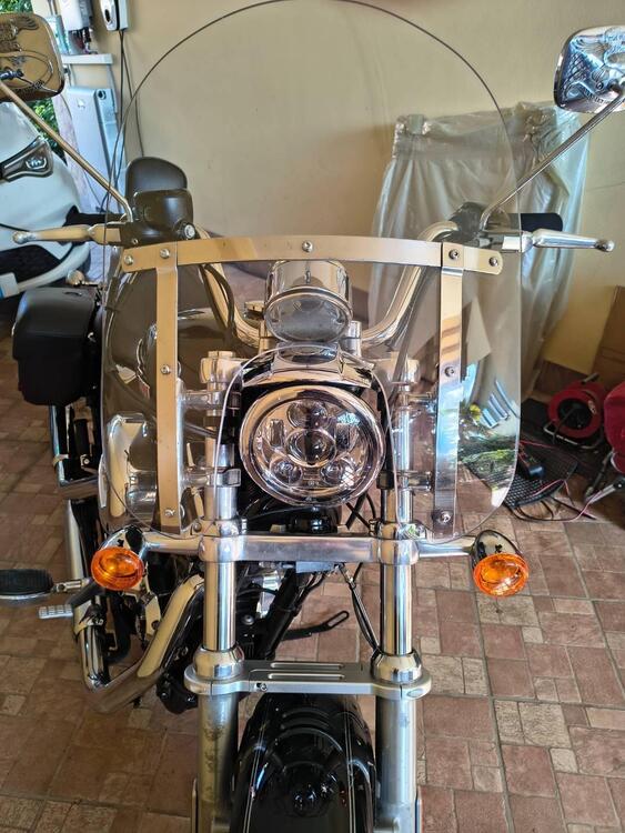 Harley-Davidson 1200 SuperLow (2014 - 16) - XL 1200T (5)