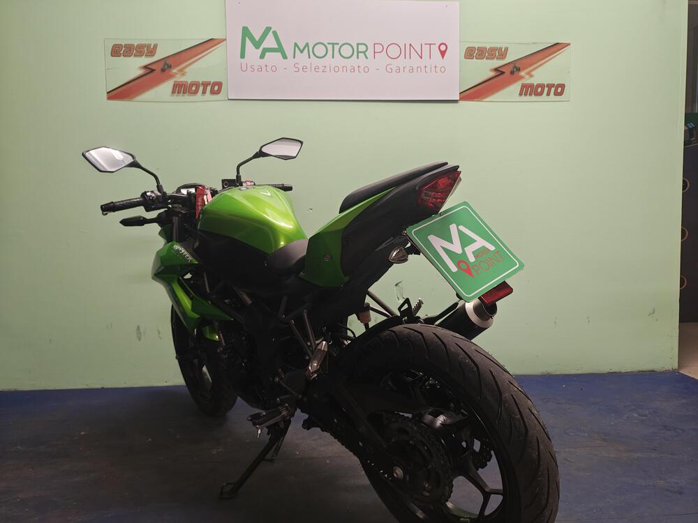 Kawasaki Z 250 SL (2015 - 16) (3)