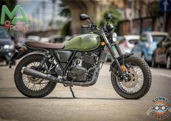 Archive Motorcycle AM 70 250 Cafe Racer (2020) usata
