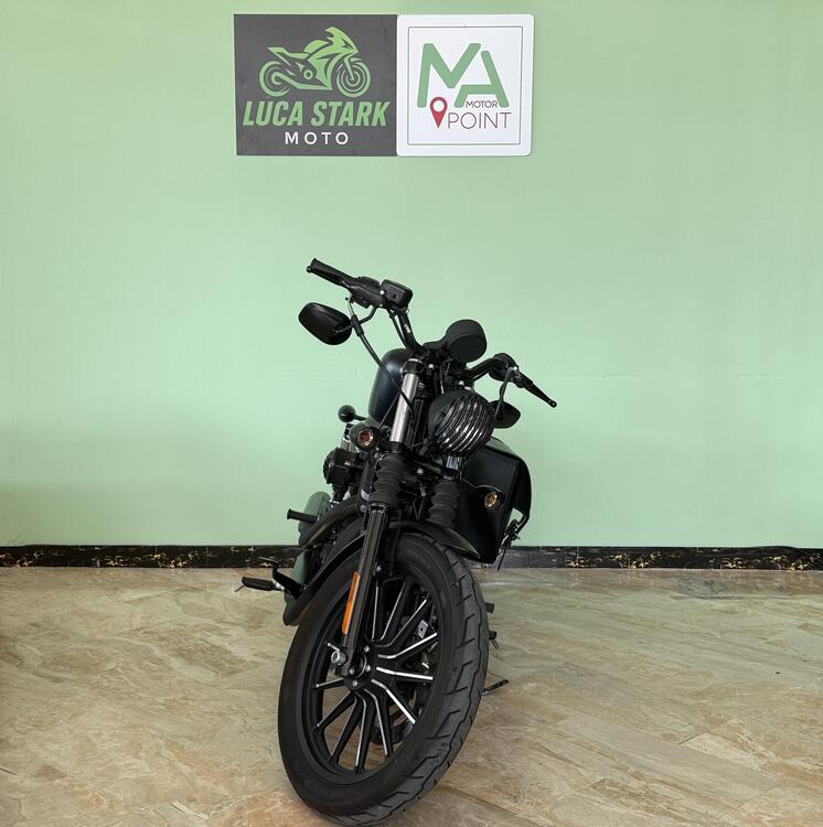 Harley-Davidson 883 Iron (2014 - 16) - XL 883N (4)